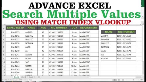 search multiple values in excel.